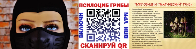 Галлюциногенные грибы прущие грибы  Новозыбков 